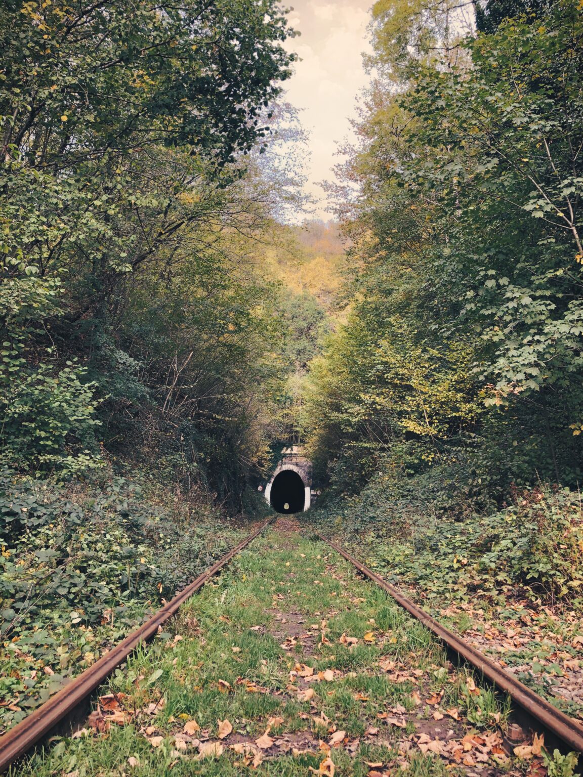 Fondry Des Chiens, De Mooiste Herfstwandeling In De Ardennen