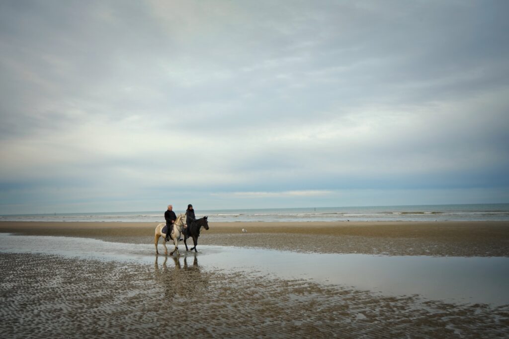 Ruiters op het strand van De Panne