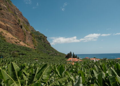 Your ultimate one-week guide for a Madeira road trip (via Porto)