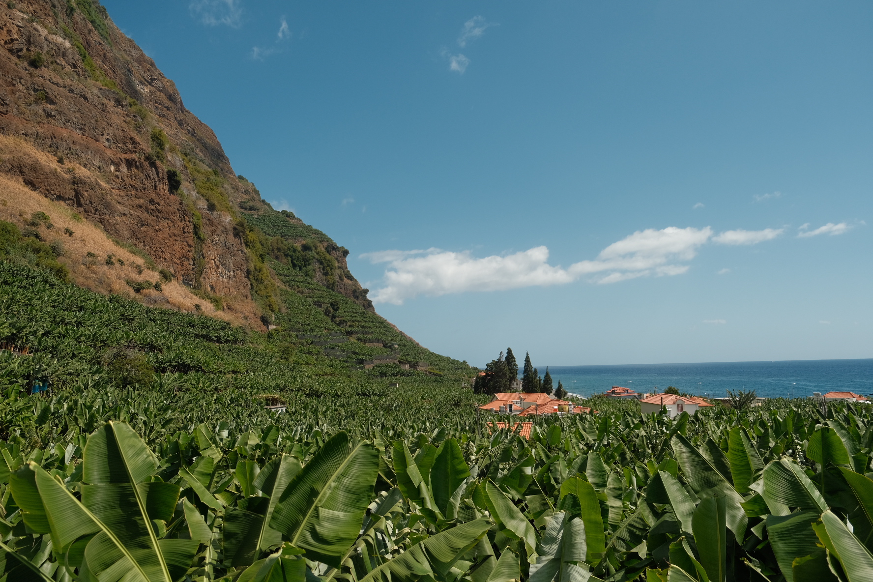 Ultieme roadtrip gids voor 1 week Madeira (via Porto)